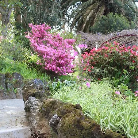 Penthouse Peaks - Casa Sao Joao -4 Star Tourist Angra do Heroísmo